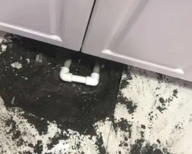 和布克赛尔查漏水哪家好